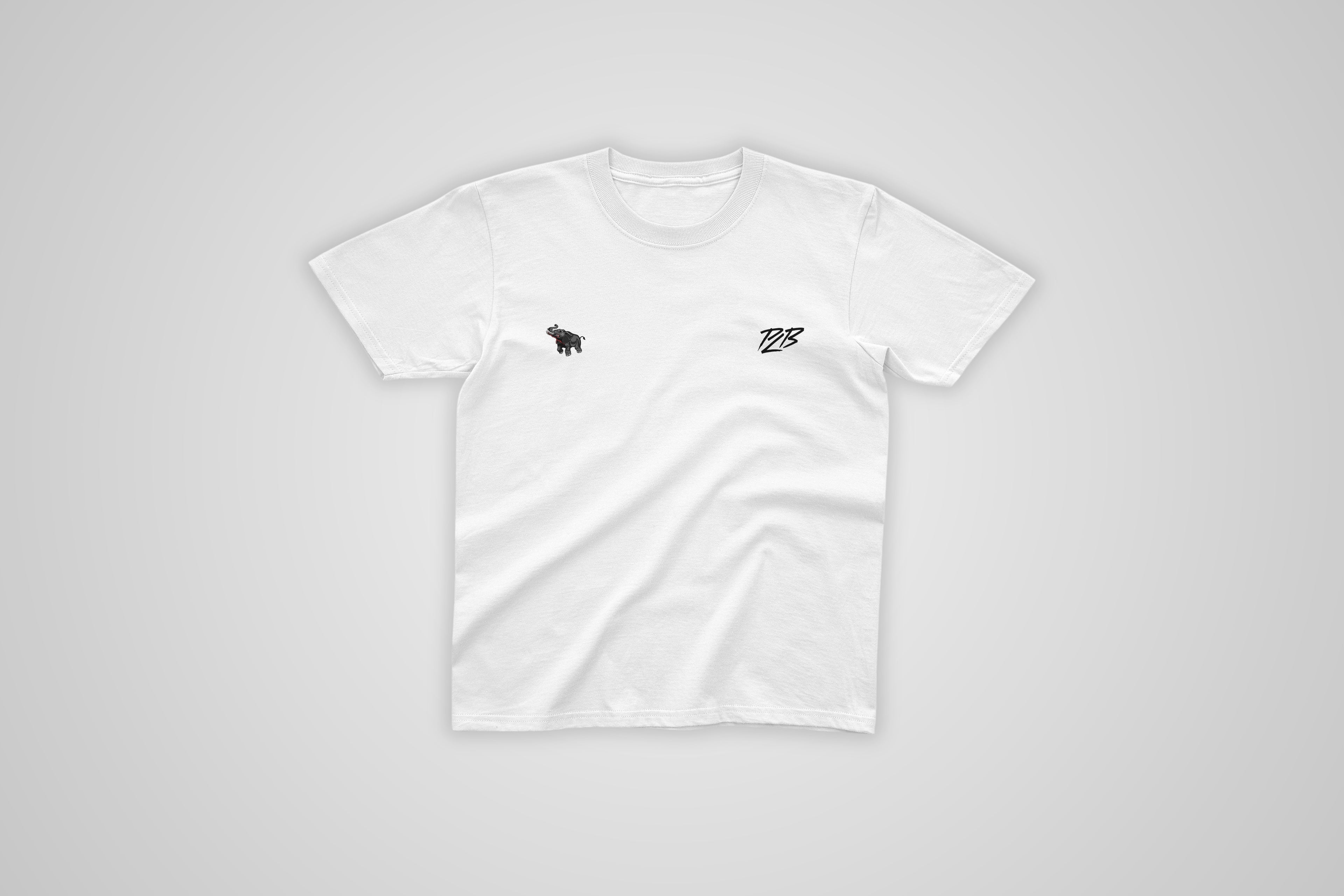 Tee-Shirt Mono PLB