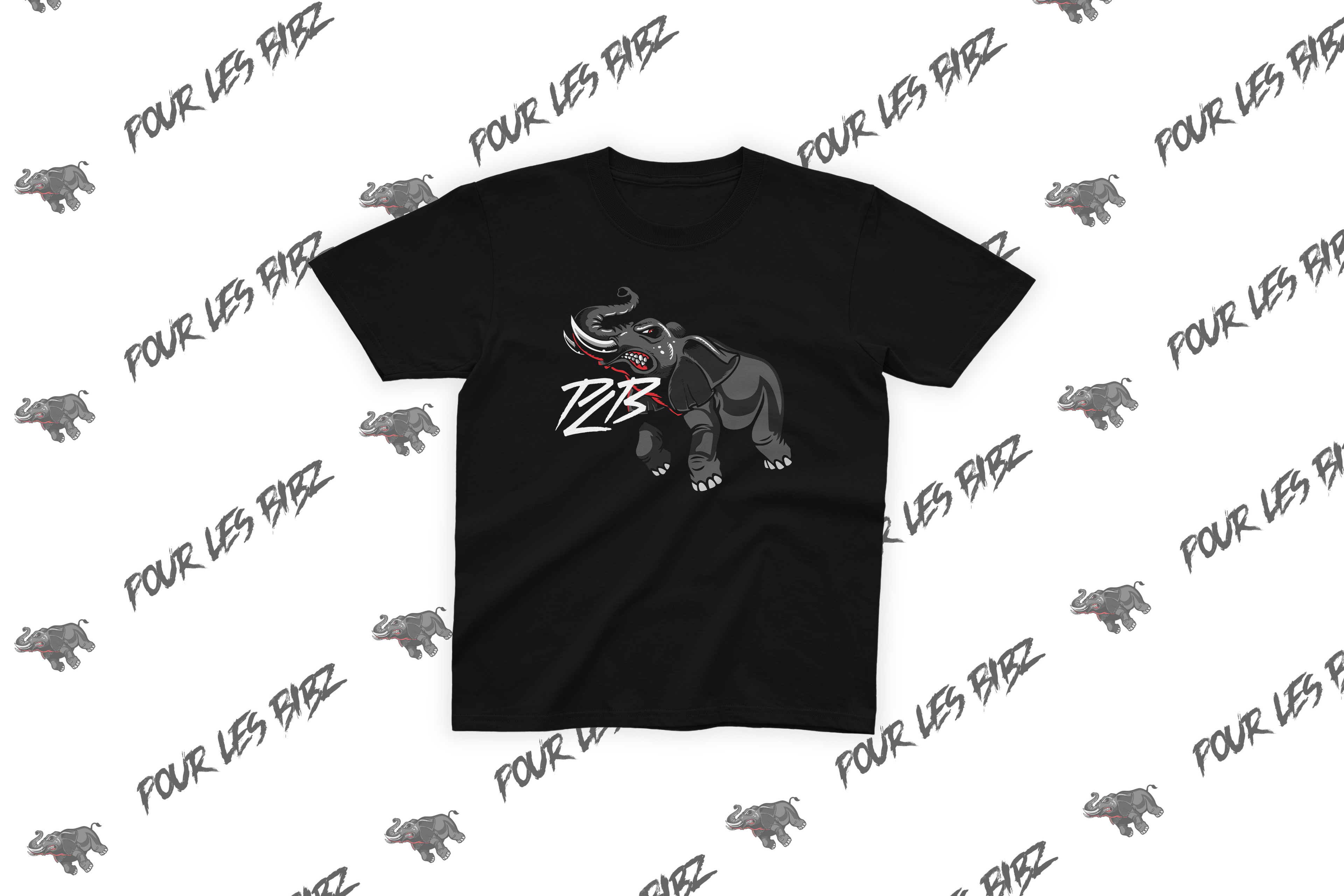 Tee-Shirt Elephant PLB Center V2